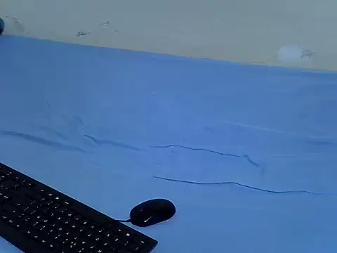 drowllie webcam
