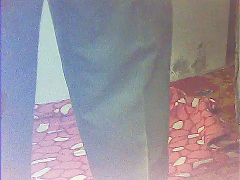 Your-Devar-Bhabhi webcam