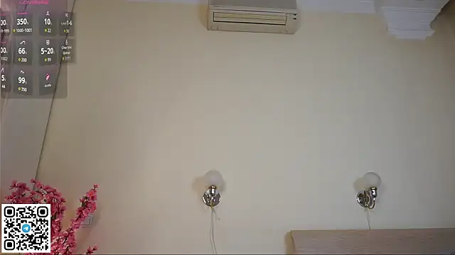 NoirCascade webcam