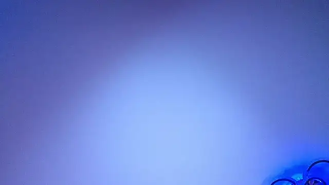 PerryKitty