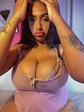 MaverickGray webcam