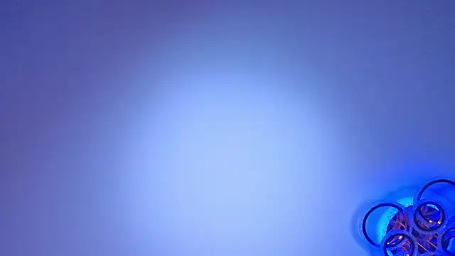 PerryKitty