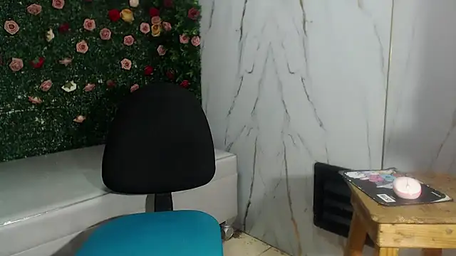 ManSant webcam