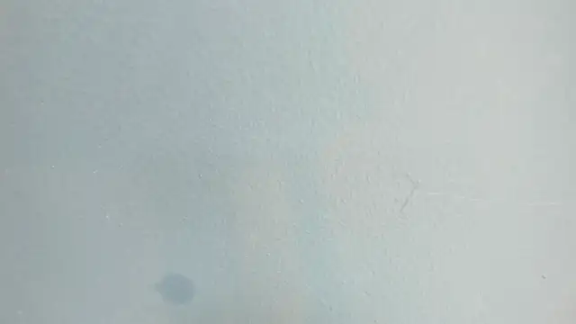 Charlie___Musk webcam