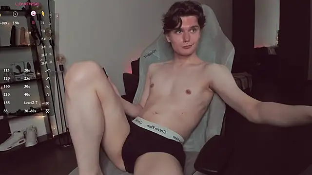 Da_scin webcam