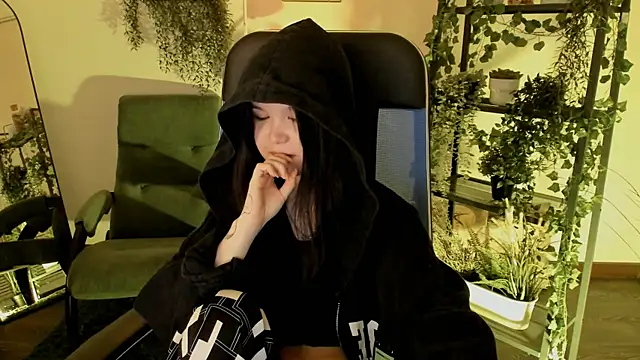 Elainebeness webcam