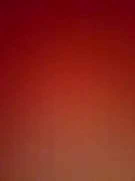 ni8sow webcam