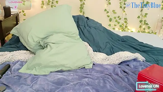thetinyblue webcam