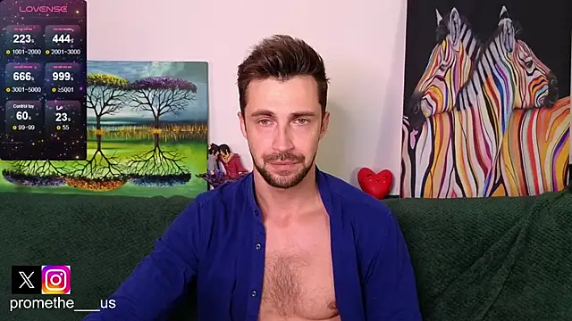Promethe_us webcam