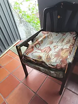 Blanco2023 webcam