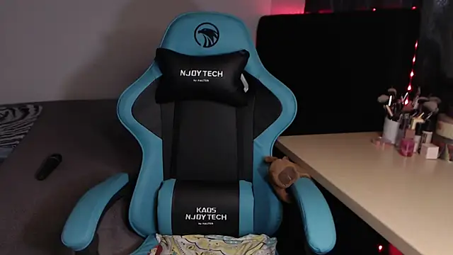 Theprojectsaraa webcam