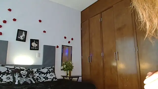 3littles webcam