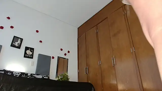 3littles webcam
