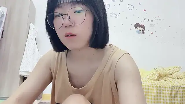 Belle-LL webcam