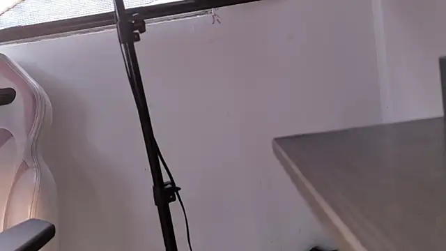 Angely_js webcam
