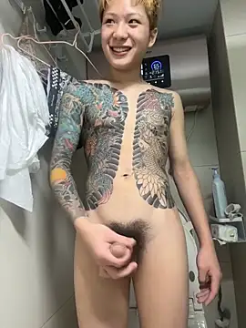 AAA-888 webcam