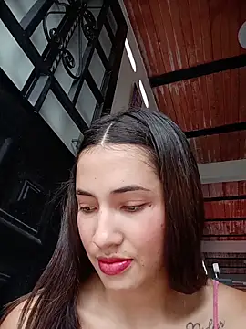 -Nicol webcam