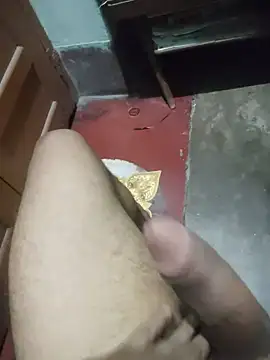 modelmanr webcam
