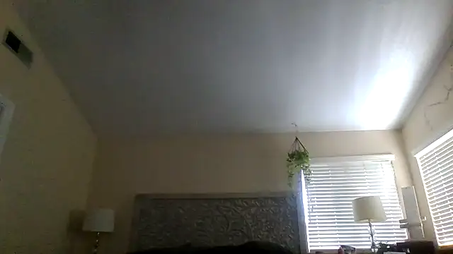 MISTERANDDEMI webcam