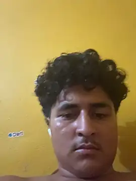 cannonWithMuscles webcam
