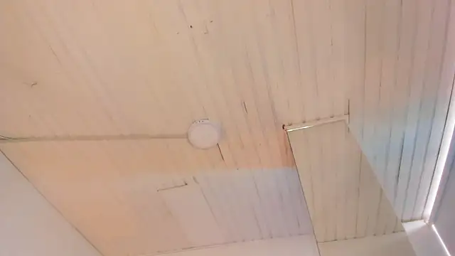 Artemisa_as webcam