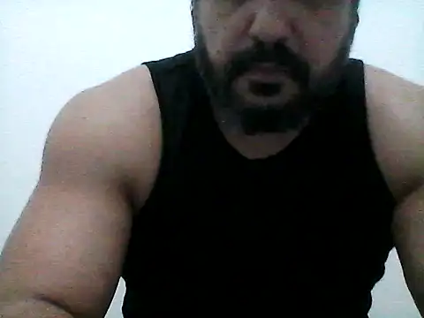 stallony webcam