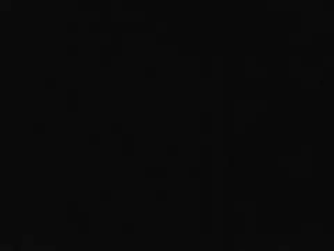 Nivan_7251_1 webcam
