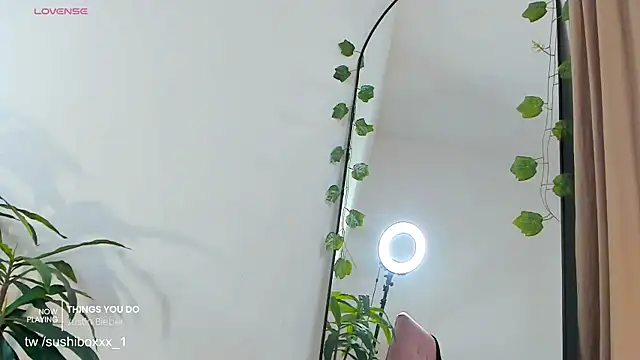 sushiboxxx webcam