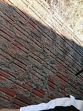 Nfsexy_hot webcam