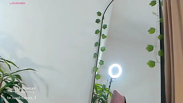sushiboxxx webcam