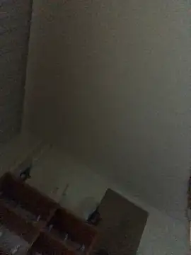 AnitaCat webcam