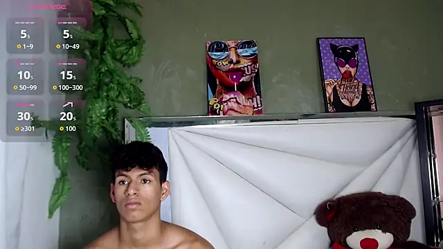 Nicolas_brown_ webcam