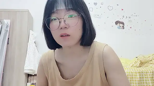 Belle-LL webcam