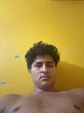 cannonWithMuscles webcam