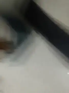 Gurgaonbull01 webcam