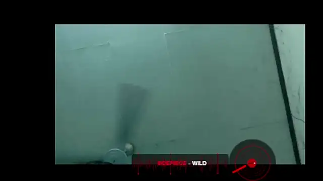 Loki886 webcam
