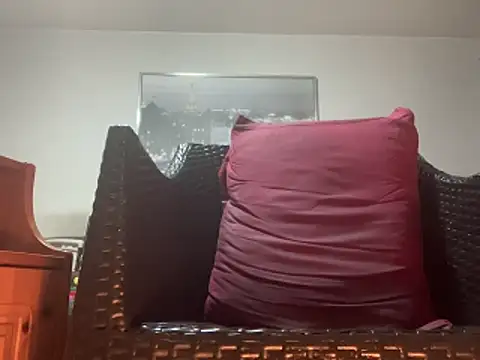 Tyyson03 webcam