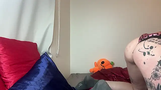 coyemoo webcam