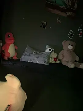 Mohdollmen webcam