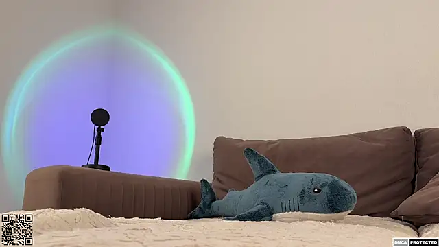 Exeltis webcam