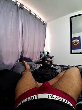 prototipoA45 webcam