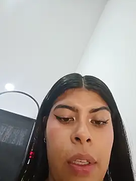 SOFIA-11_ webcam