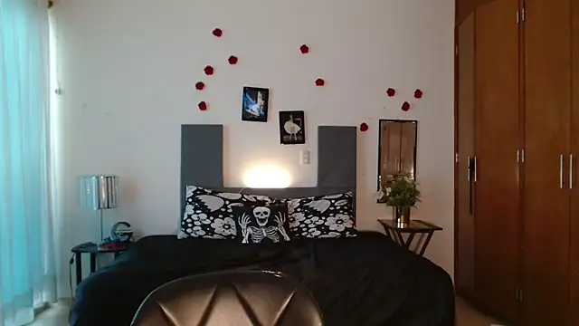 3littles webcam