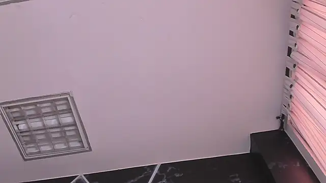 AerumChae webcam