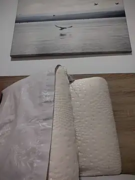 lauflor webcam