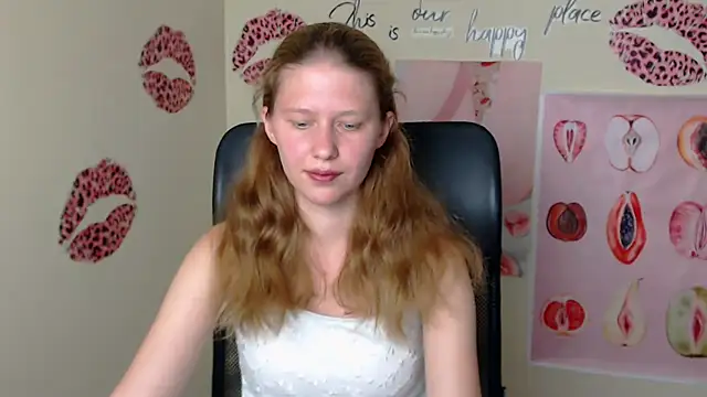 StellaCRL webcam