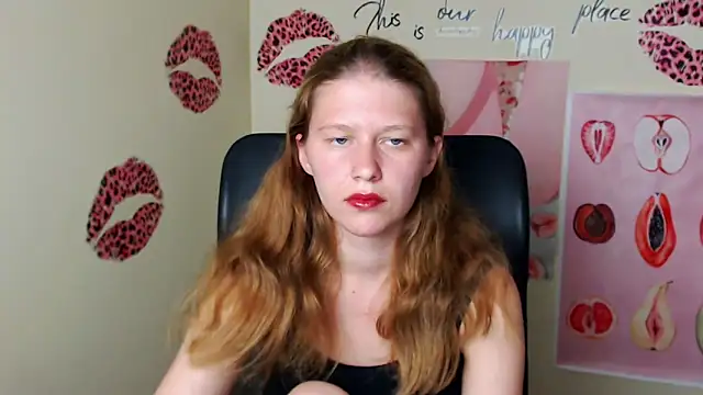 StellaCRL webcam