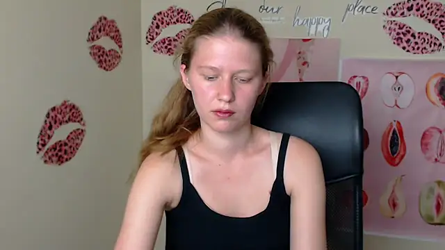 StellaCRL webcam