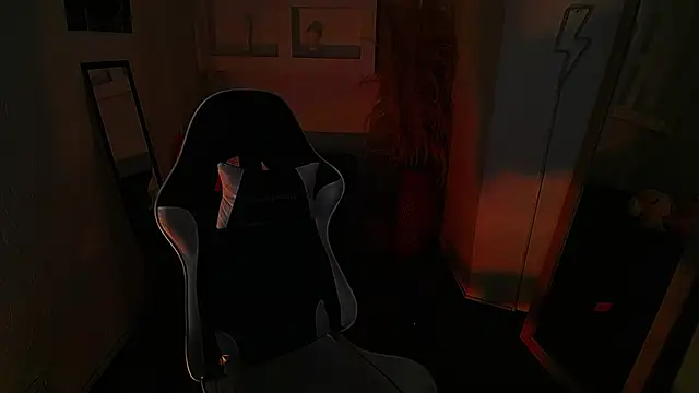 Haddes_as webcam