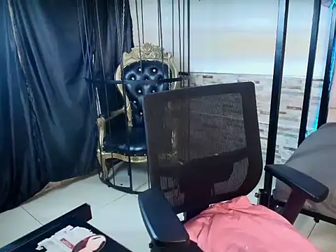 vanestone webcam